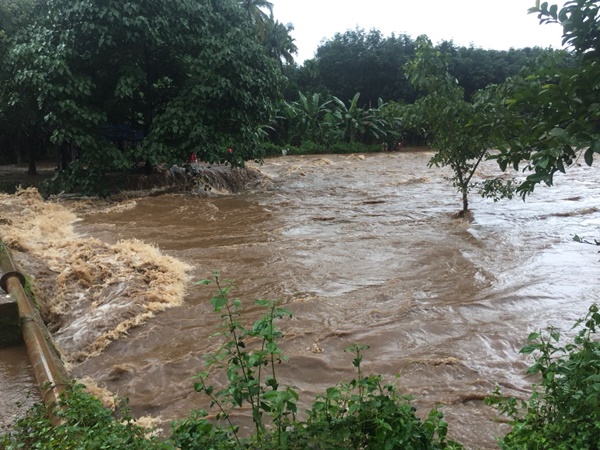 ഇടുക്കിയുടെ മിടുക്ക്