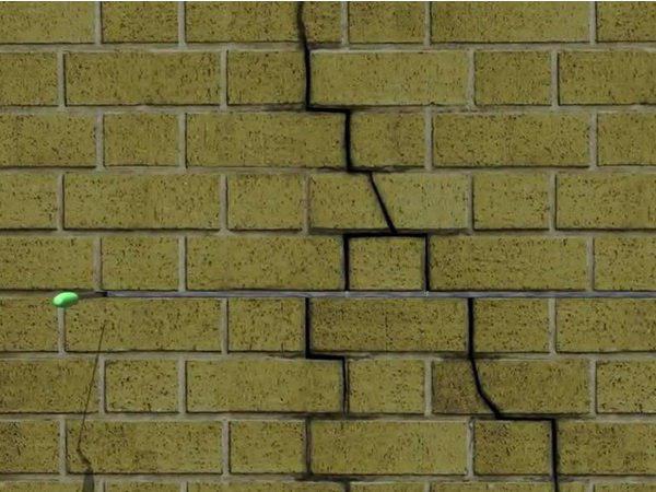 ഉപേക്ഷിച്ചോടി