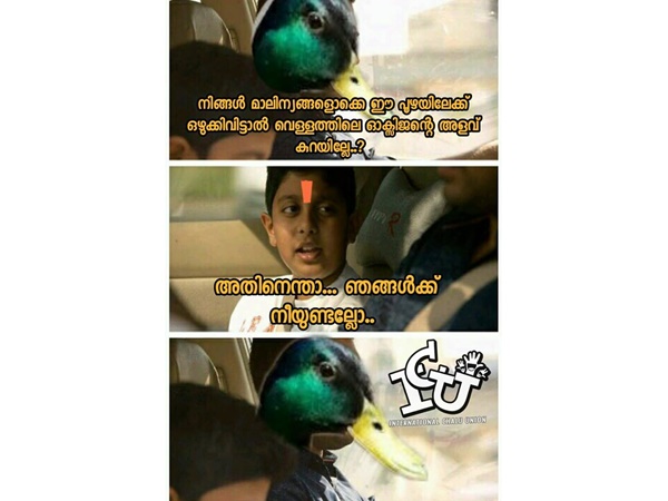 താറാവുണ്ടല്ലോ...
