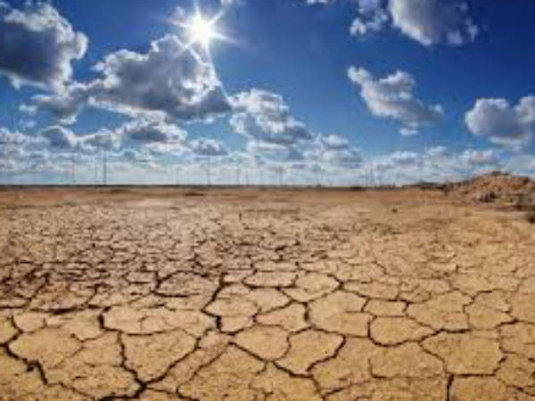 ഏക പരിഹാരം