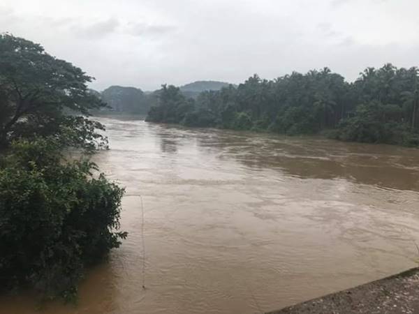 കുടുംബശീയുടെ കൈത്താങ്ങ്