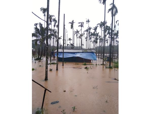 ആള്‍നാശം