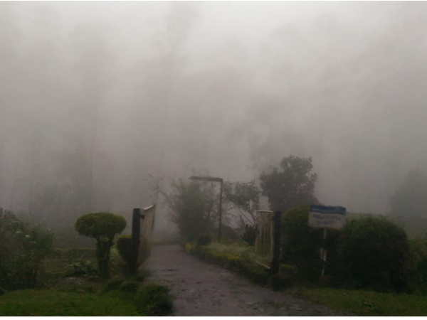 munnar