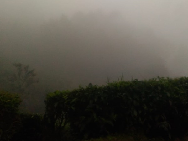 munnar