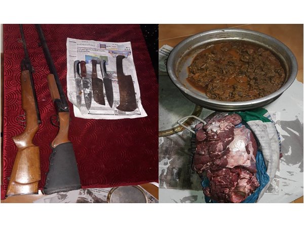 Illegal hunting case