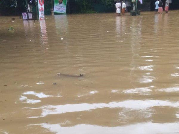 സർവകക്ഷി യോഗം