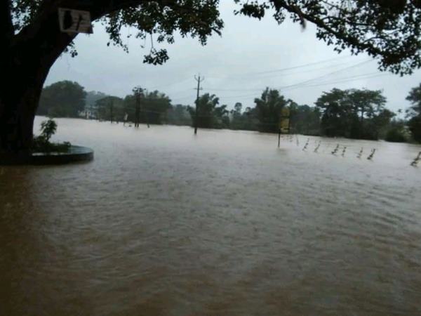 wayanad-153