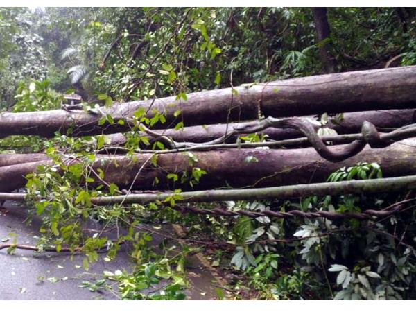 wayanad11-153 wayanad11-153