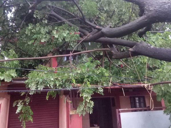 എറണാകുളത്ത്