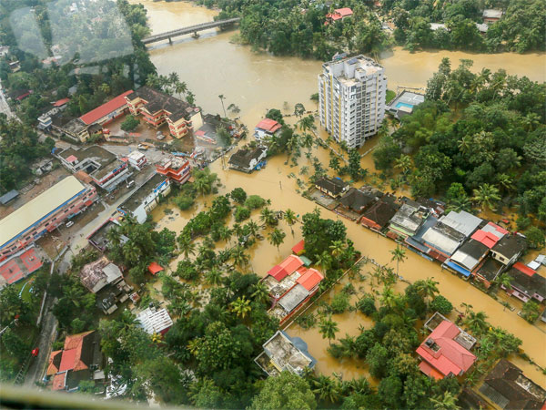 എ​ണ്ണ​ത്തി​ൽ കു​റ​വെ​ങ്കി​ലും മി​ക​വി​ൽ കു​റ​വി​ല്ല
