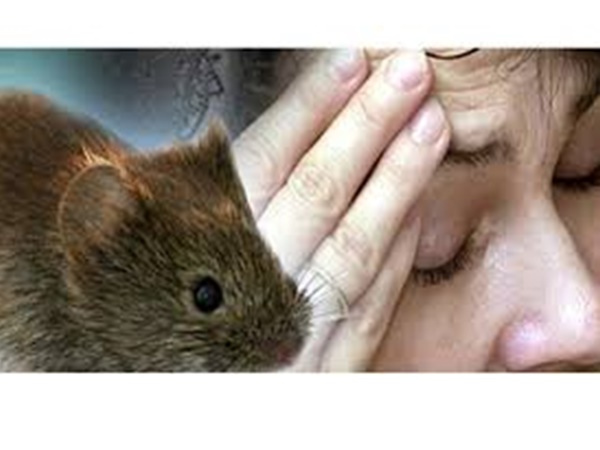 രോഗവ്യാപനം