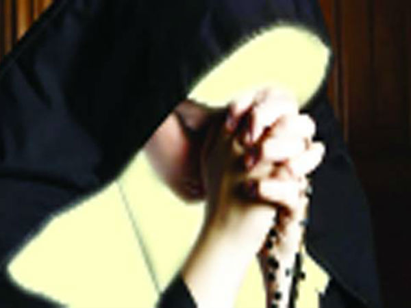  ചാമരം വീശും