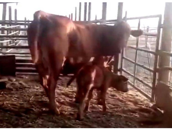 അത് സംഭവിച്ചാല്‍