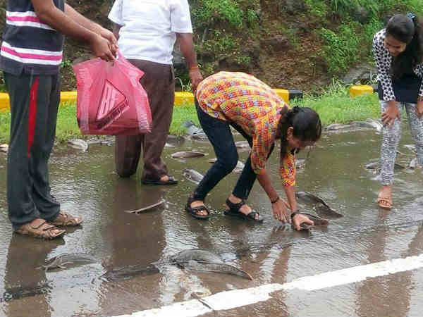രഹസ്യമായി വളർത്തുന്നു