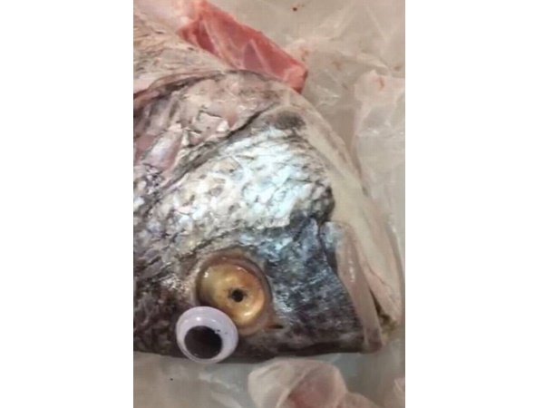 പ്ലാസ്റ്റിക് കണ്ണുകള്‍