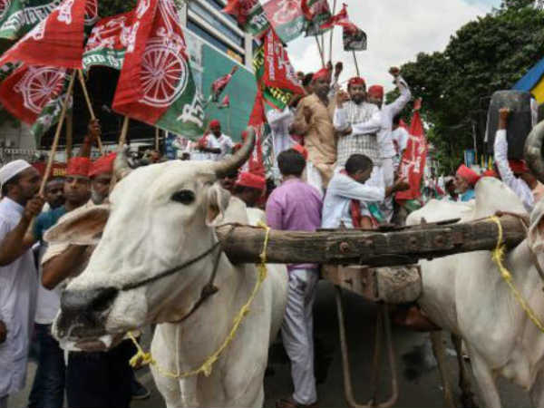 ഡോക്ടര്‍മാര്‍ പറയുന്നത്