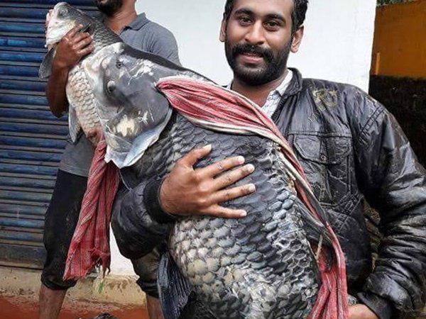 വന്‍ ഭീഷണി