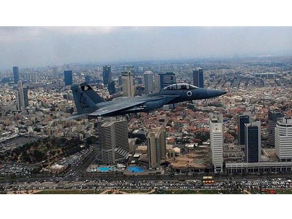 വിമാനം തകര്‍ന്നത് സിറിയന്‍ മിസൈലേറ്റ്