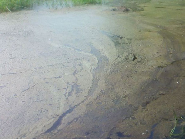 മലിനീകരണം