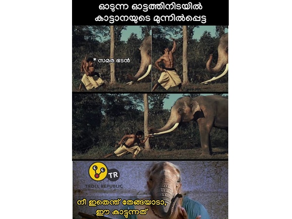 കാട്ടാനയുടെ മുന്നില് കാട്ടാനയുടെ മുന്നില്