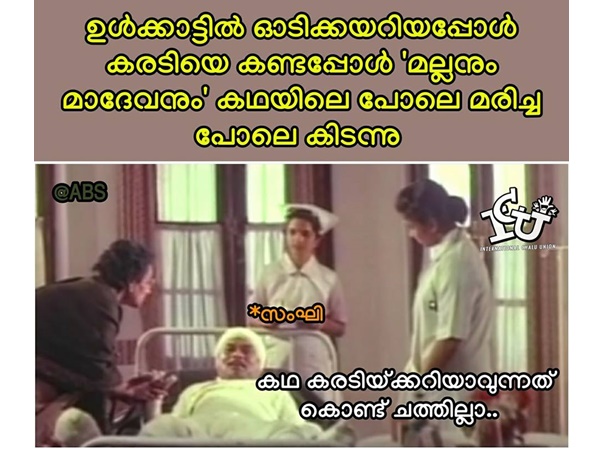 കരടിയെ കണ്ടപ്പോള് കരടിയെ കണ്ടപ്പോള്