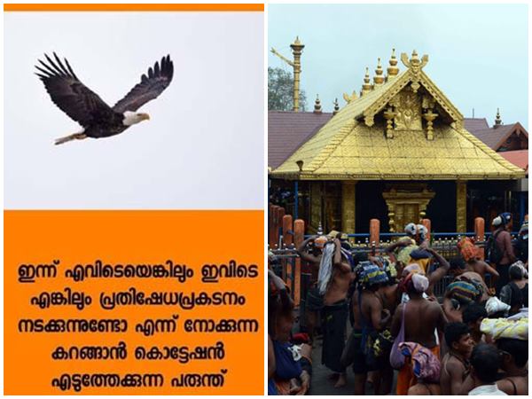 കൃഷ്ണപ്പരുന്തുകള്‍ വട്ടമിട്ട് പറന്നു