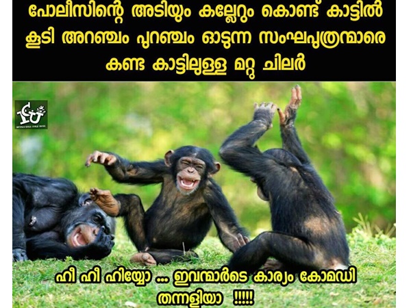 കോമഡി തന്നളിയാ.. കോമഡി തന്നളിയാ..