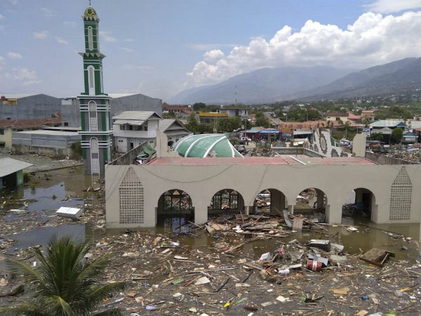 മൃതദേഹങ്ങൾ