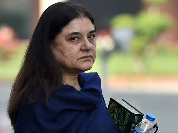 maneka-gandhi maneka-gandhi