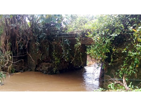 Bridge
