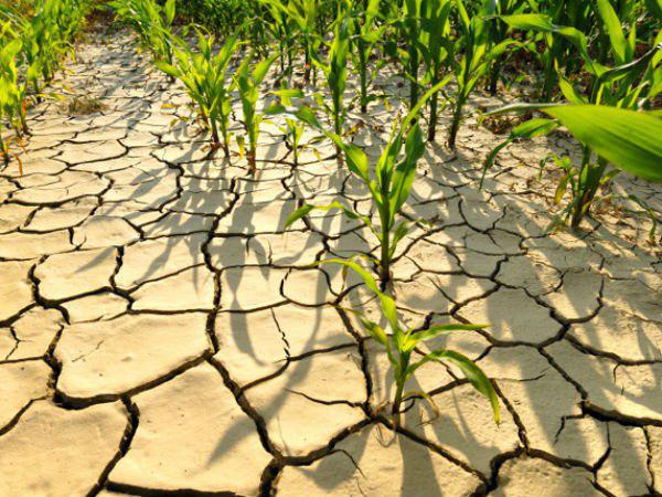 ഡിസംബറില്‍ പോളണ്ടില്‍