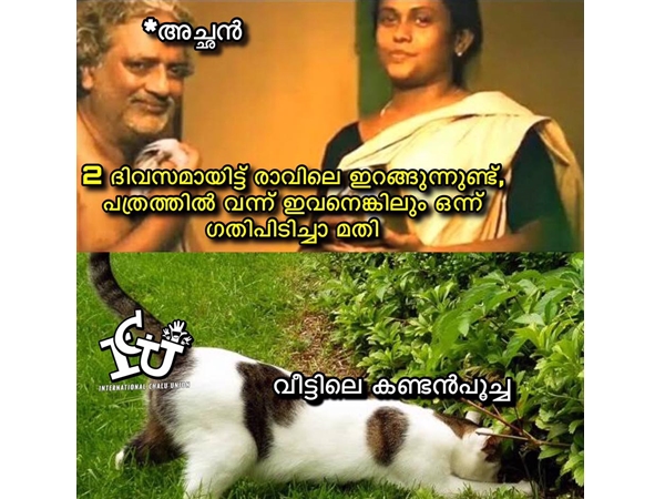 ഗതിപിടിച്ചാല്‍ മതിയായിരുന്നു