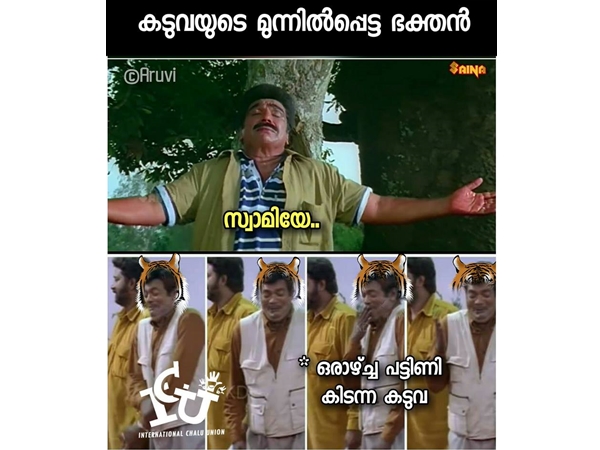 ആരോട്... പുലിയോടോ...