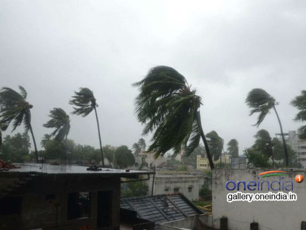 മരങ്ങളും വൈദ്യുതി തൂണുകളും കടപുഴകി