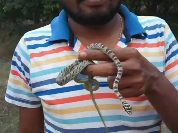 വിഷം ഏല്‍ക്കുന്നത്