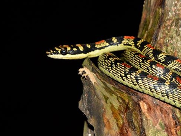 വിശദീകരണം