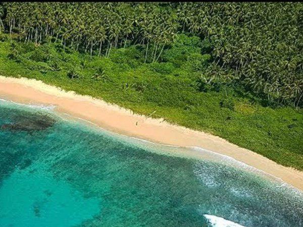 സെന്റിനൽസ് ഗോത്രം