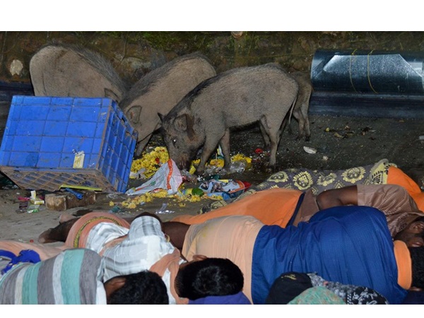 സത്യാവസ്ഥ എന്ത് സത്യാവസ്ഥ എന്ത്