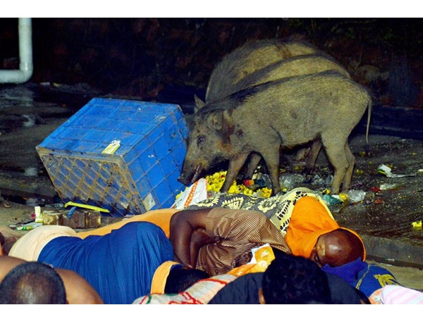 ഞാന് എടുത്തതാണ് ഞാന് എടുത്തതാണ്