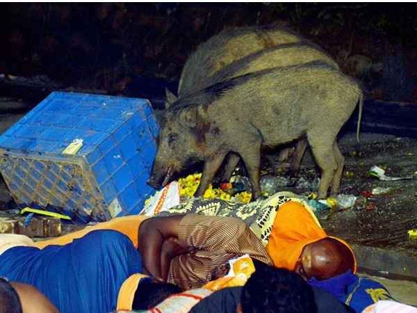 ഫ്ളാഷ് വീണിരുന്നില്ല ഫ്ളാഷ് വീണിരുന്നില്ല