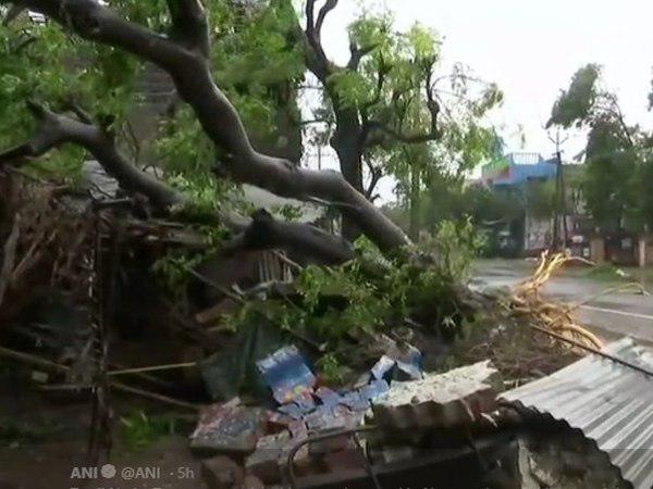  ശക്തമായ കാറ്റ്