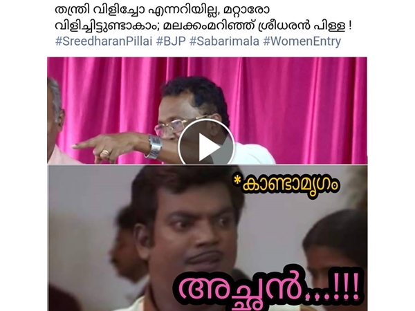 കണ്ടാമൃഗം മാറിനില്ക്കും കണ്ടാമൃഗം മാറിനില്ക്കും
