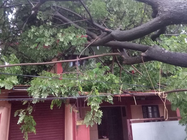 കാലാവസ്ഥാ വ്യതിയാനത്തിന്റെ ഇര