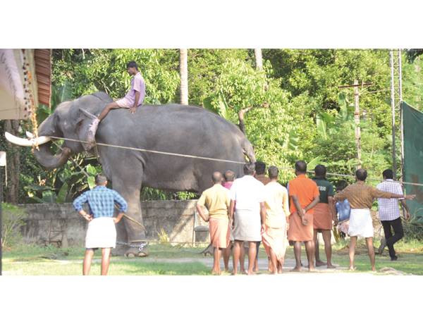ഇടഞ്ഞത് പാര്‍ത്ഥസാരഥി 