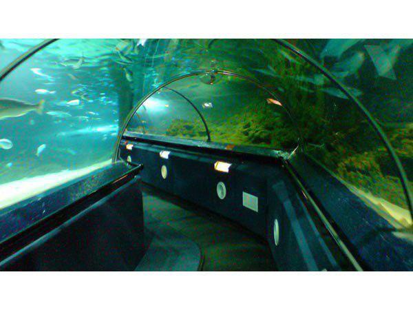 രാജ്യത്തിനുള്ളില്‍