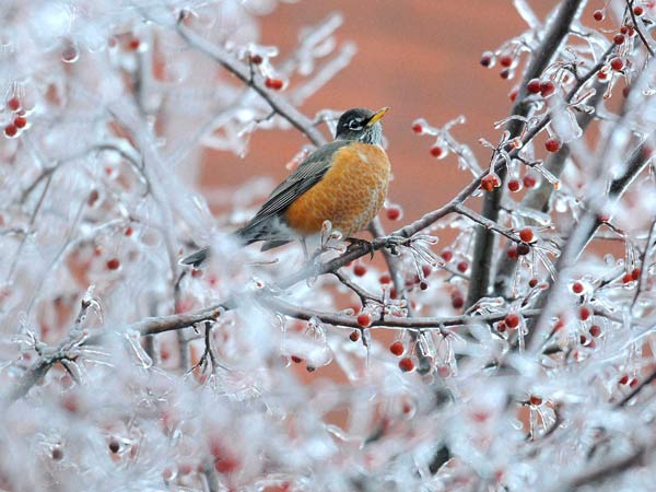 പകൽ കനത്ത ചൂട്