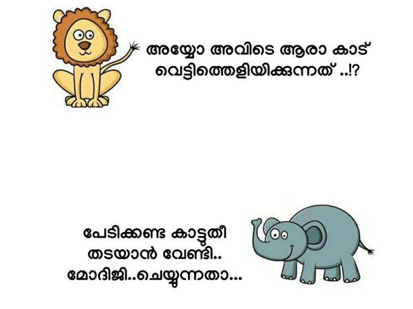 കാട് അങ്ങ് വെട്ടി