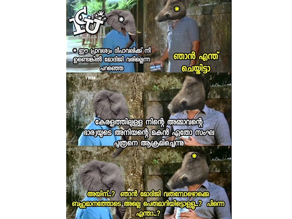 പാവം കാട്ടുപന്നി