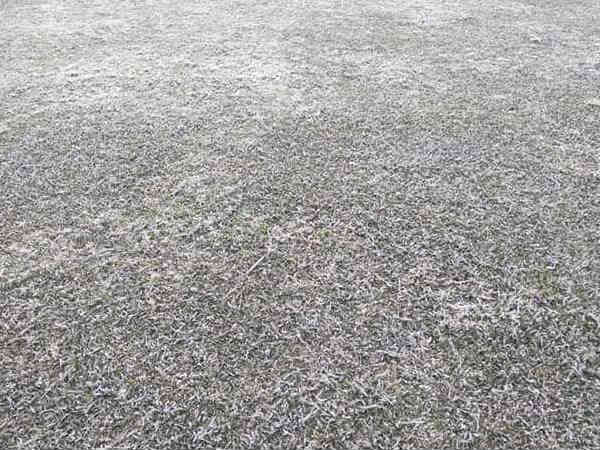 കശ്മീര്‍ അടക്കം രാജ്യത്തിന്റെ വിവിധ ഭാഗങ്ങളില്‍ കൊടും ശൈത്യം തുടരുന്നു. കനത്ത മഞ്ഞ് വീഴ്ചയെ തുടര്‍ന്ന് കശ്മീര്‍ ഒറ്റപ്പെട്ടിരിക്കുകയാണ്. വെള്ളിയാഴ്ച ഉച്ചയോടെയാണ് മഞ്ഞ് വീഴ്ച ആരംഭിച്ചത്. റോഡുകള്‍ മുഴുവനായും മഞ്ഞ് മൂടി കിടക്കുന്നു. ഇതോടെ ഗതാഗതം തടസ്സപ്പെട്ടു. പല ഭാഗത്തും വൈദ്യുതി ബന്ധം തടസ്സപ്പെട്ടിരിക്കുകയാണ്.