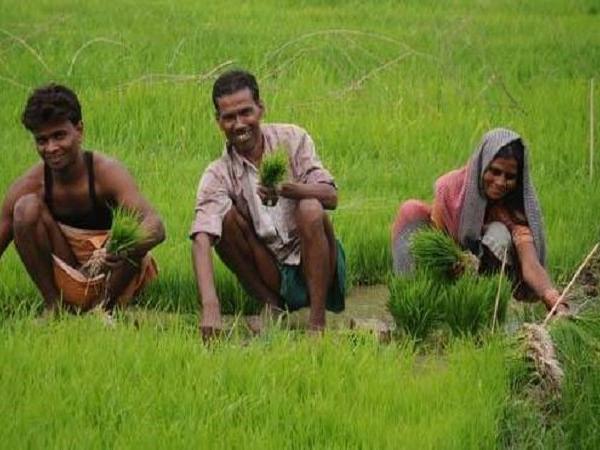 കിസാന്‍ നിധി